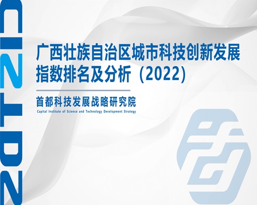 大鸡巴爆草【成果发布】广西壮族自治区城市科技创新发展指数排名及分析（2022）